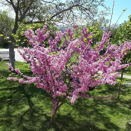 Manuela Villa Hrvace